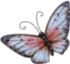 th_butterfly03.gif